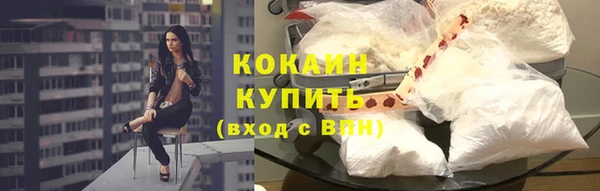 гашик Зерноград