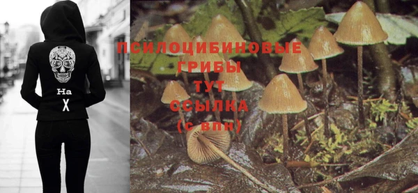 герыч Зеленокумск