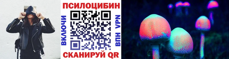 Купить где  Гвардейск  Псилоцибиновые грибы Psilocybine cubensis 