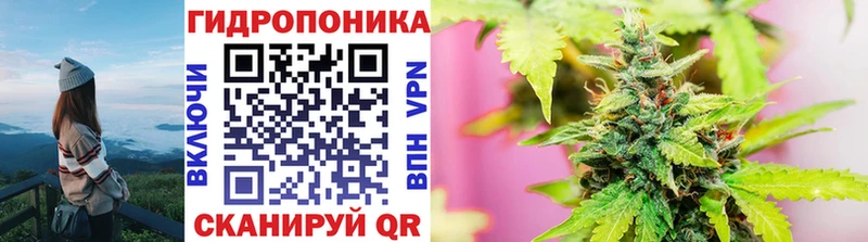 Бошки марихуана SATIVA & INDICA  Купить закладки  Гвардейск 